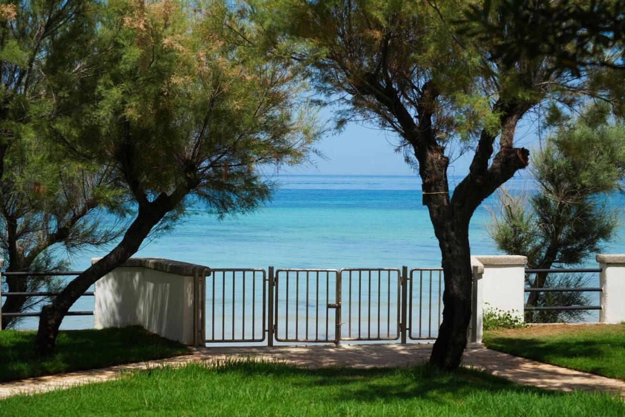 Aurelia Sea View Acomodação com café da manhã Torre Canne Exterior foto
