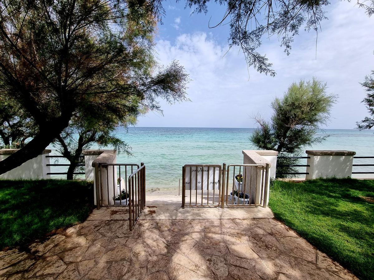 Aurelia Sea View Acomodação com café da manhã Torre Canne Exterior foto